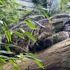 24-12-06 12-46-46 1630